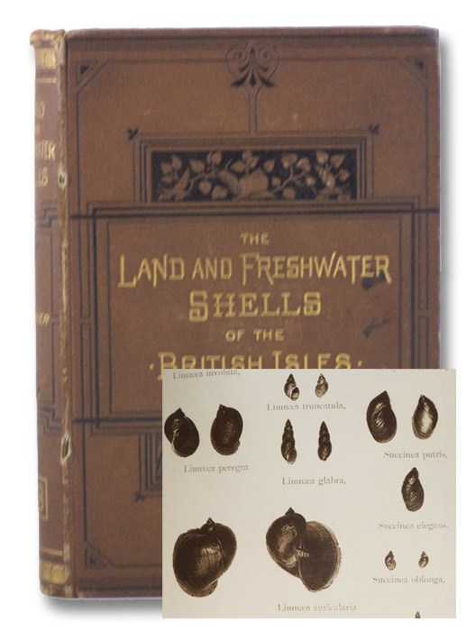 The Land and Freshwater Shells of the British Isles. With Illustrations of All the Species., Rimmer, Richard The Land and Freshwater Shells of the British Isles. With Illustrations of All the Species., Rimmer, Richard