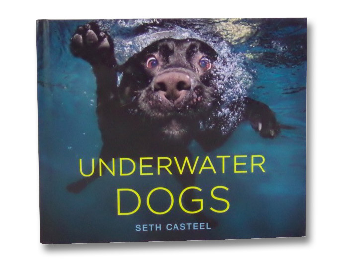 Underwater Dogs, Casteel, Seth Underwater Dogs, Casteel, Seth